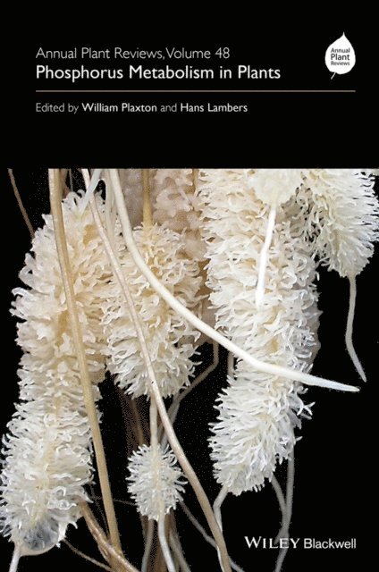Hans Lambers, William Plaxton - Annual Plant Reviews, Phosphorus Metabolism in Plants, E-bok