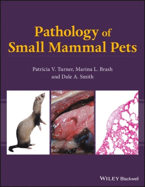Dale A. Smith, Marina L. Brash, Patricia V. Turner - Pathology of Small Mammal Pets, E-bok