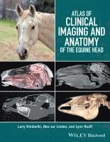 Atlas of Clinical Imaging and Anatomy of the Equine Head av Larry Kimberlin, Alex zur Linden, Lynn Ruoff, Alex Zur Linden