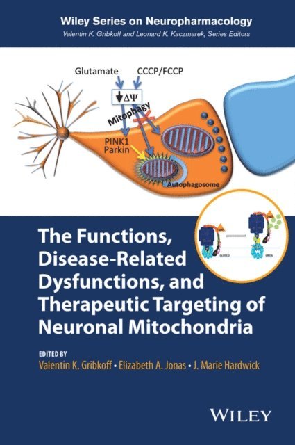 J. Marie Hardwick, Elizabeth A. Jonas, Valentin K. Gribkoff - Functions, Disease-Related Dysfunctions, and Therapeutic Targeting of Neuronal Mitochondria, E-bok
