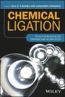 Chemical Ligation av Luca D D'Andrea, Alessandra Romanelli, Luca D D'Andrea