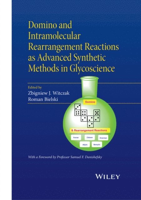 Roman Bielski, Zbigniew J. Witczak - Domino and Intramolecular Rearrangement Reactions as Advanced Synthetic Methods in Glycoscience, E-bok