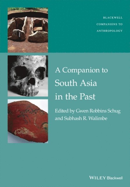 Subhash R. Walimbe, Gwen Robbins Schug - Companion to South Asia in the Past, E-bok