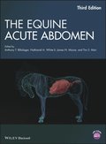 Equine Acute Abdomen