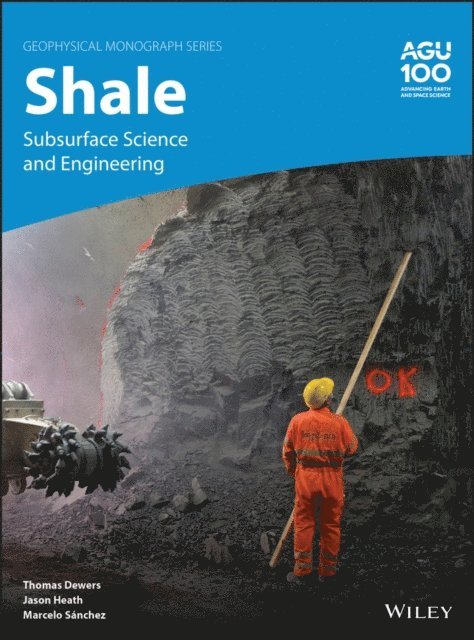 Marcelo S nchez, Jason Heath, Thomas Dewers - Shale, E-bok