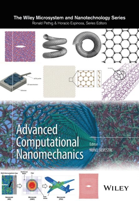 Nuno Silvestre - Advanced Computational Nanomechanics, E-bok