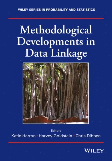 Chris Dibben, Harvey Goldstein, Katie Harron - Methodological Developments in Data Linkage, E-bok