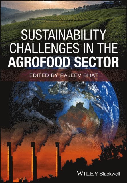 Rajeev Bhat - Sustainability Challenges in the Agrofood Sector, E-bok