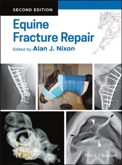 Alan J. Nixon - Equine Fracture Repair, E-bok