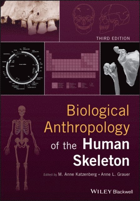 Anne L. Grauer, M. Anne Katzenberg - Biological Anthropology of the Human Skeleton, E-bok