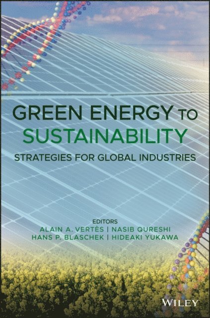 Hideaki Yukawa, Hans P. Blaschek, Nasib Qureshi, Alain A. Vertes - Green Energy to Sustainability: Strategies for Global Industries, E-bok