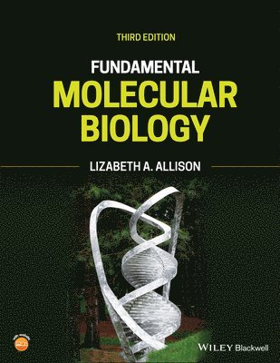 Lizabeth A. Allison - Fundamental Molecular Biology, Inbunden