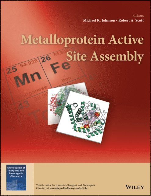 Robert A. Scott, Michael K. Johnson - Metalloprotein Active Site Assembly, E-bok