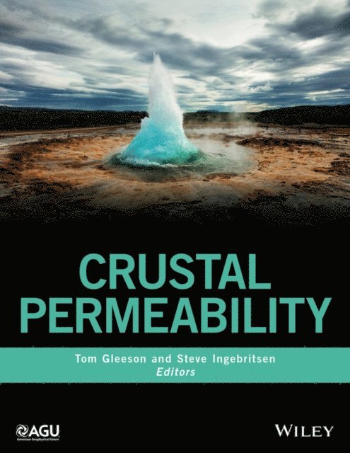 Steve Ingebritsen, Tom Gleeson - Crustal Permeability, E-bok