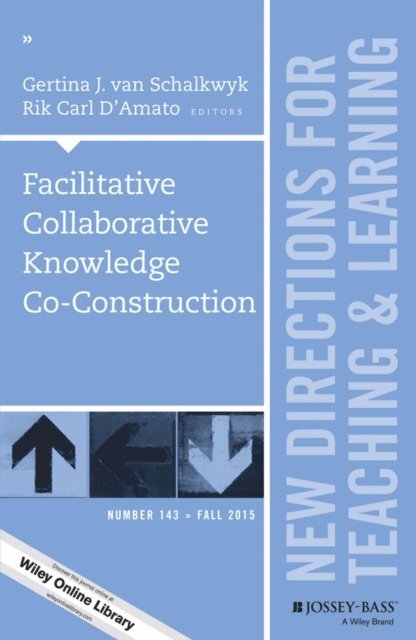Rik Carl D'Amato, Gertina J. van Schalkwyk - Facilitative Collaborative Knowledge Co-Construction, E-bok
