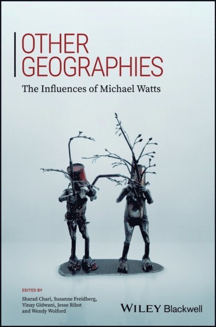 Wendy Wolford, Jesse Ribot, Vinay Gidwani, Susanne Freidberg, Sharad Chari - Other Geographies, E-bok