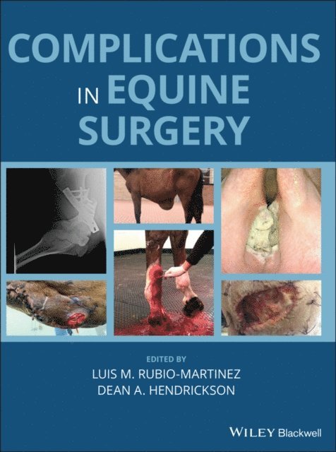 Dean A. Hendrickson, Luis M. Rubio-Martinez - Complications in Equine Surgery, E-bok