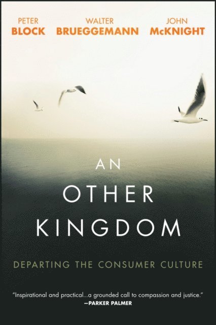 John McKnight, Walter Brueggemann, Peter Block - Other Kingdom, E-bok
