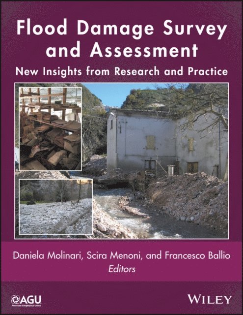 Francesco Ballio, Scira Menoni, Daniela Molinari - Flood Damage Survey and Assessment, E-bok