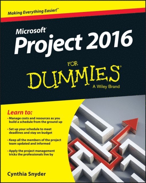 Cynthia Snyder Dionisio - Project 2016 For Dummies, E-bok