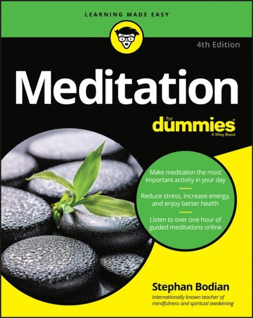 Stephan Bodian - Meditation For Dummies, E-bok
