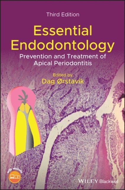 Dag Orstavik - Essential Endodontology, E-bok