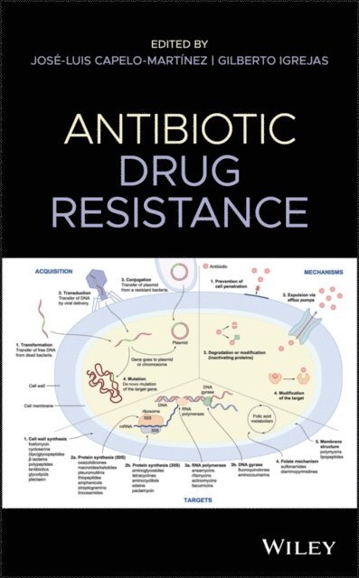 Gilberto Igrejas, Jos -Luis Capelo-Mart nez - Antibiotic Drug Resistance, E-bok