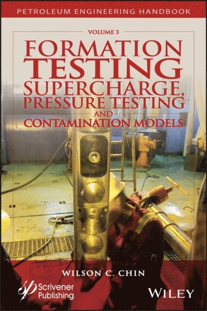 Wilson C. Chin - Formation Testing, E-bok