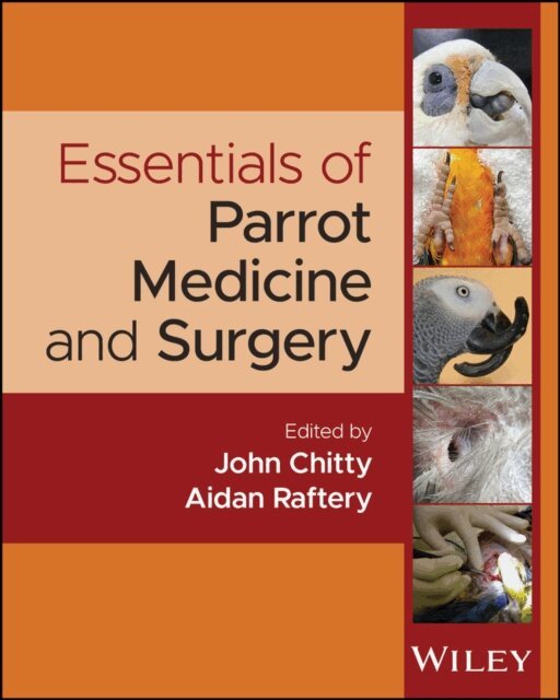Aidan Raftery, John Chitty - Essentials of Parrot Medicine and Surgery, E-bok