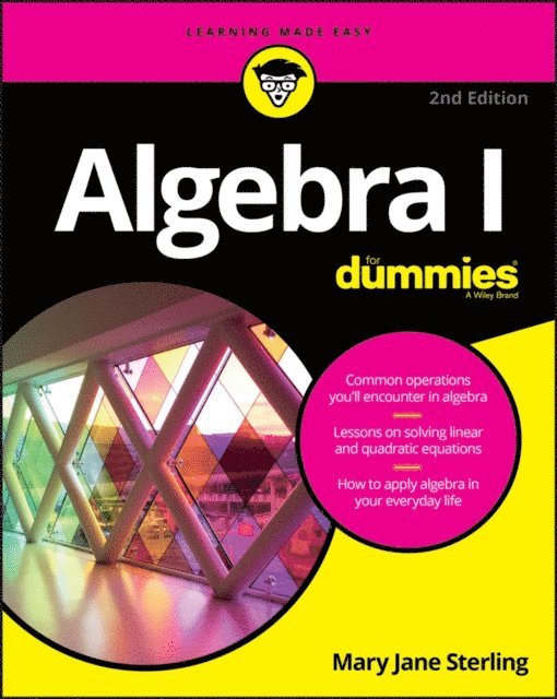 Mary Jane Sterling - Algebra I For Dummies, E-bok