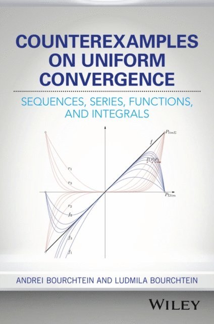 Ludmila Bourchtein, Andrei Bourchtein - Counterexamples on Uniform Convergence, E-bok