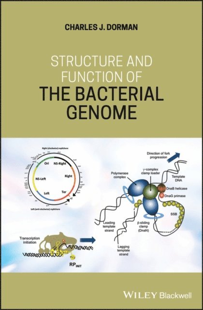 Charles J. Dorman - Structure and Function of the Bacterial Genome, E-bok
