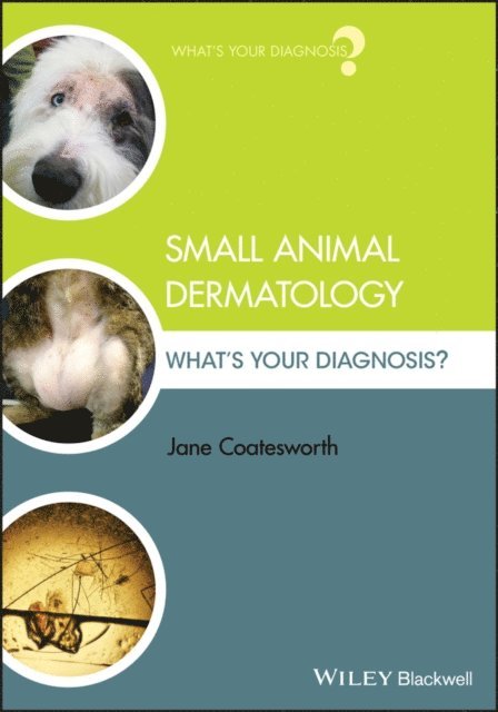 Jane Coatesworth - Small Animal Dermatology, E-bok