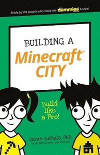 Building a Minecraft City