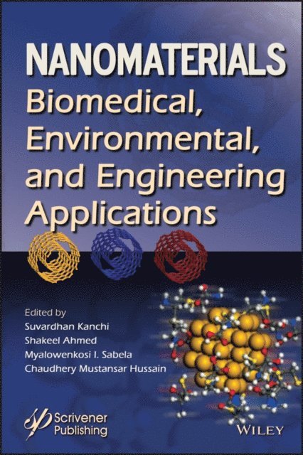 Chaudhery Mustansar Hussain, Myalowenkosi I. Sabela, Shakeel Ahmed, Suvardhan Kanchi - Nanomaterials, E-bok