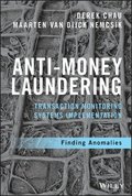 Anti-Money Laundering Transaction Monitoring Systems Implementation - Finding Anomalies