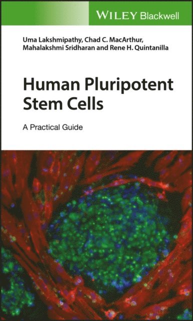 Rene H. Quintanilla, Mahalakshmi Sridharan, Chad C. MacArthur, Uma Lakshmipathy - Human Pluripotent Stem Cells, E-bok