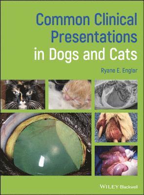 Ryane E. Englar - Common Clinical Presentations in Dogs and Cats, E-bok