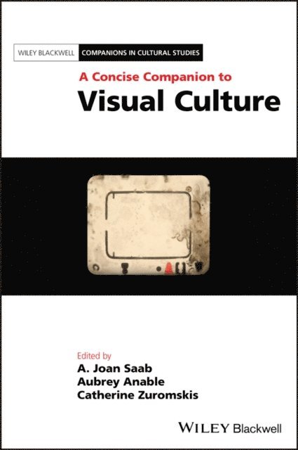 Catherine Zuromskis, Aubrey Anable, A. Joan Saab - Concise Companion to Visual Culture, E-bok