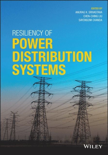 Sayonsom Chanda, Chen-Ching Liu, Anurag K. Srivastava - Resiliency of Power Distribution Systems, E-bok