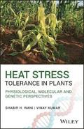 Heat Stress Tolerance in Plants