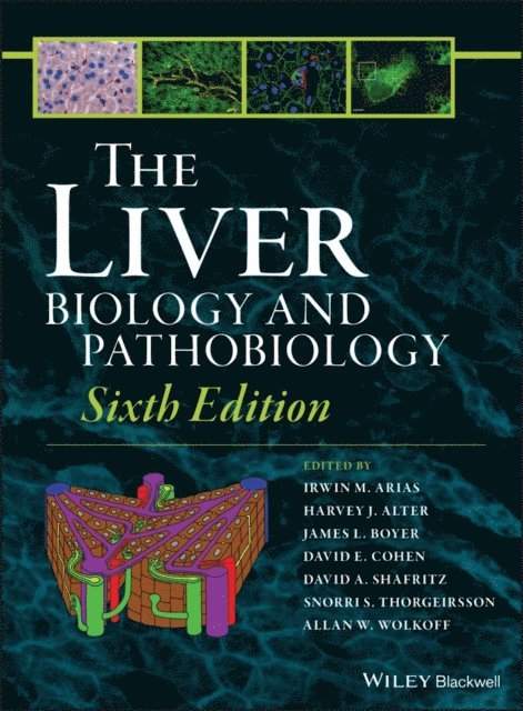 Allan W. Wolkoff, Snorri S. Thorgeirsson, David A. Shafritz, David E. Cohen, James L. Boyer, Harvey J. Alter, Irwin M. Arias - Liver, E-bok