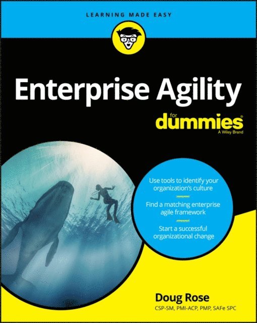 Doug Rose - Enterprise Agility For Dummies, E-bok