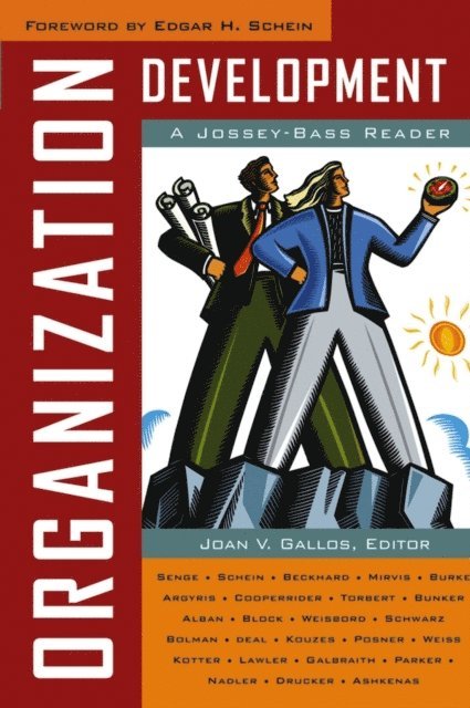 Joan V. Gallos - Organization Development, E-bok