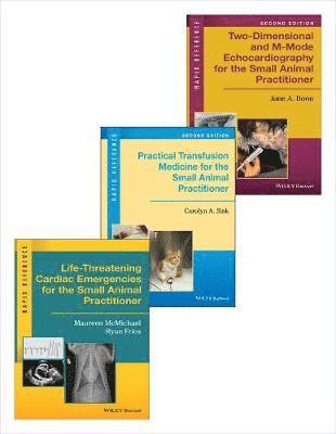 Maureen McMichael, Ryan Fries, June A. Boon, Carolyn A. Sink - Rapid Reference Set, Häftad
