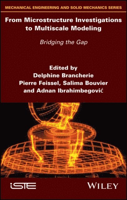 Adnan Ibrahimbegovic, Salima Bouvier, Pierre Feissel, Delphine Brancherie - From Microstructure Investigations to Multiscale Modeling, E-bok