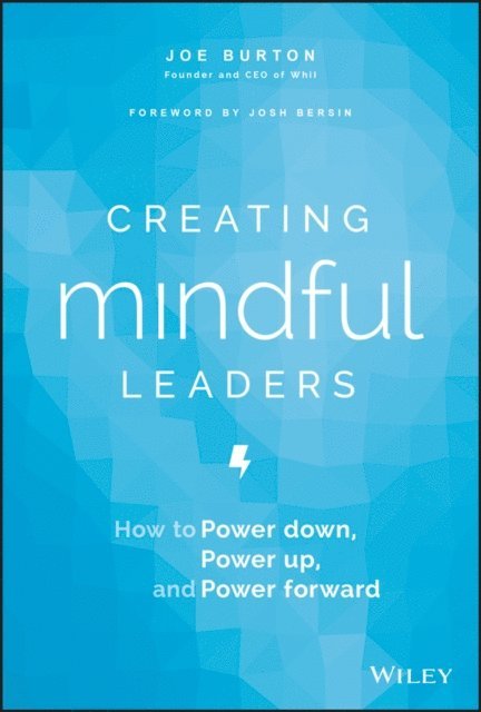 Joe Burton - Creating Mindful Leaders, E-bok