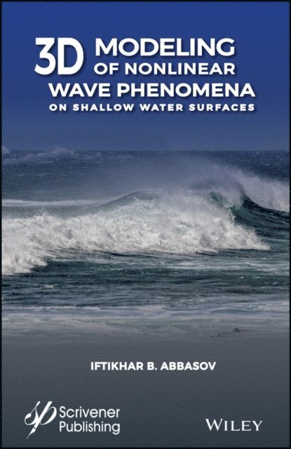 Iftikhar B. Abbasov - 3D Modeling of Nonlinear Wave Phenomena on Shallow Water Surfaces, E-bok