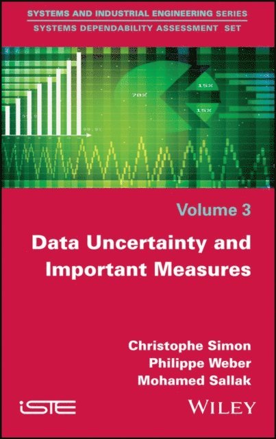 Mohamed Sallak, Philippe Weber, Christophe Simon - Data Uncertainty and Important Measures, E-bok
