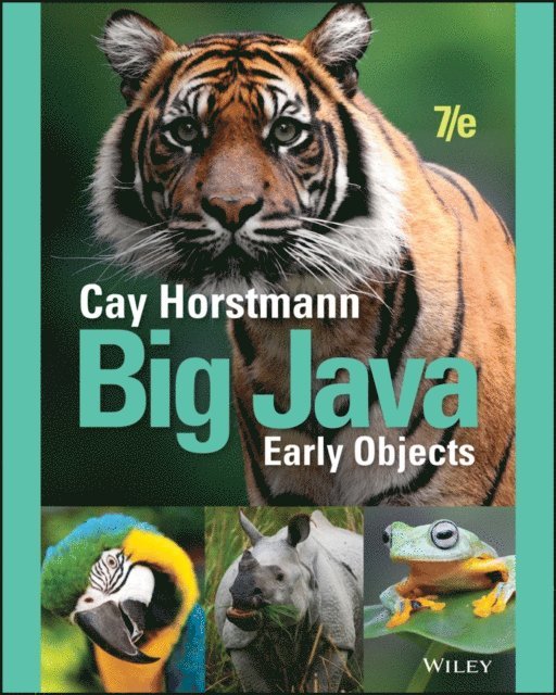 Cay S. Horstmann - Big Java, E-bok. Tillgänglighet: Lägg i varukorg
